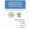 Informe censo antropométrico mancomunidad Guisayote